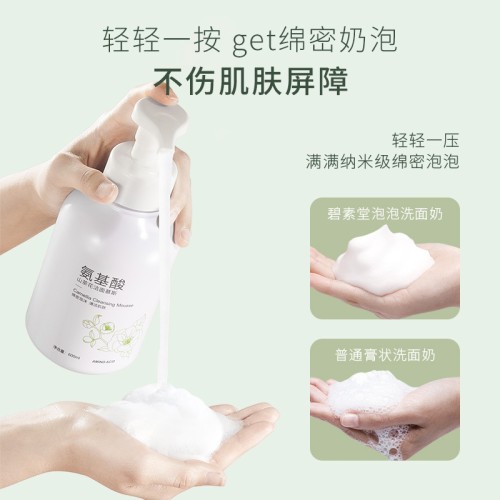 Bisutang Очищающая пенка-мусс для умывания Camellia Cleansing Mousse, 600мл