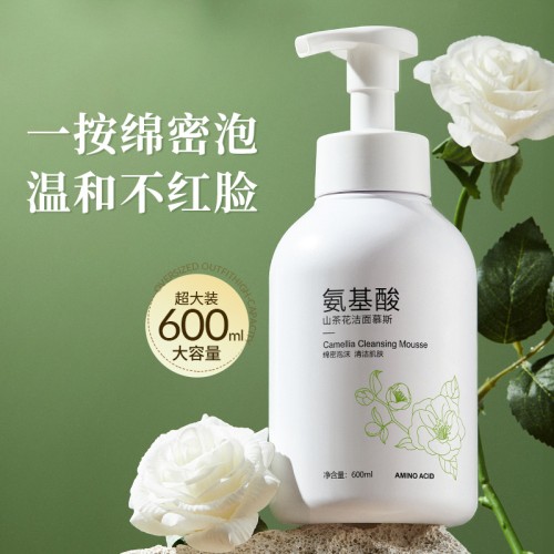 Bisutang Глубоко очищающая пена-мусс для умывания Camellia Amino Acid Cleanser, 600 мл