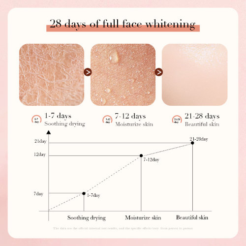 BioAqua Антиоксидантное омолаживающее очищающее средство с камелией Antioxidant Rejuvenating Cleanser with Camellia, 80г