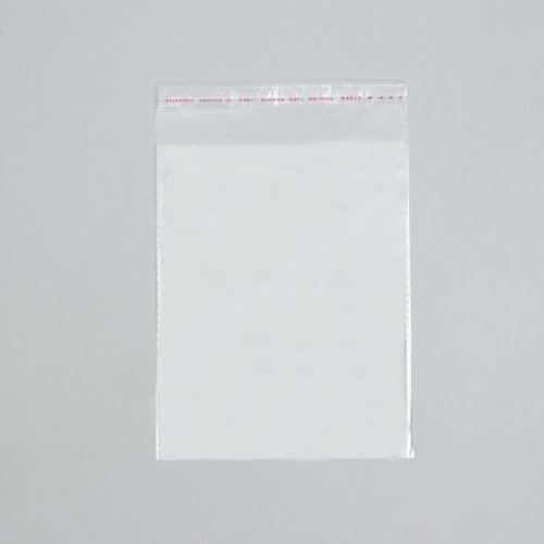 Пакет БОПП с клеевым клапаном 16 х 20/4 см 25 мкм, 10шт